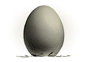 The Egg